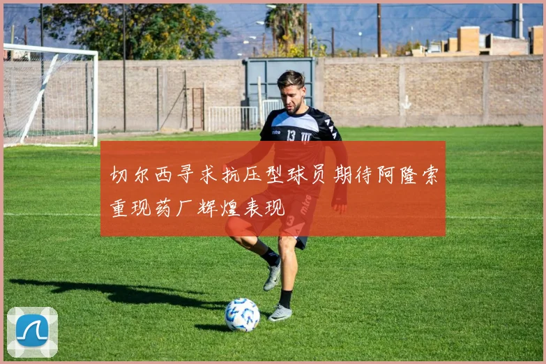 切尔西寻求抗压型球员期待阿隆索重现药厂辉煌表现