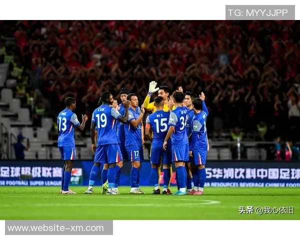 海港申花遭罚上海足协表态全力支持并接受处罚决定